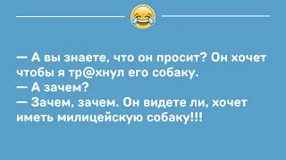 😅 Сборник Самых Смешных Жизненных Анекдотов! Подборка Смешных Новых Анекдотов! Смех! 2022 😅