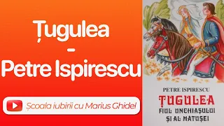 251. TUGULEA, FIUL UNCHIASULUI SI AL MATUSII - PETRE ISPIRESCU