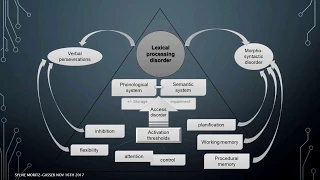 "Aphasia rehabilitation: what we learn from neurolinguistics", Sylvie Moritz-Gasser