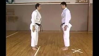 SKIF Sanbon Kumite