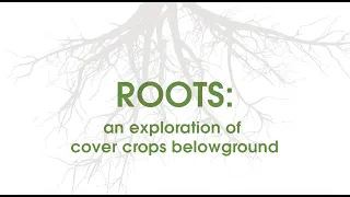 Roots: An exploration of cover crops belowground