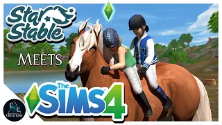 Sims 4 Animations in Star Stable Online