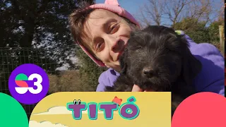 Excursió amb gossos d'atura - Titó