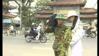 1.Nhánh Lan Rừng.wmv