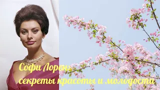 Софи Лорен: секреты красоты и молодости#софилорен #знаменитости