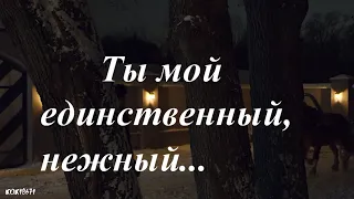 Штольман и Анна (Дмитрий Фрид и Александра Никифорова) в фан-клипе "Ты мой единственный, нежный..."
