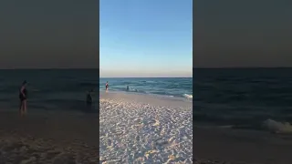 Buried Alive at the beach😂😂 #funny #viral #shorts #beach