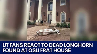 UT fans react to dead longhorn found at OSU frat house | FOX 7 Austin