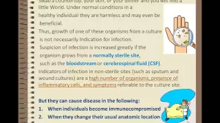 Introduction to infectious diseases by Dr. Mohammad Hassan Nasr.