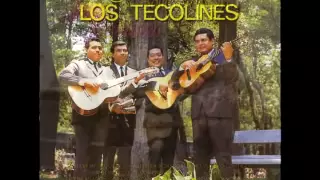 los tecolines exitos mix