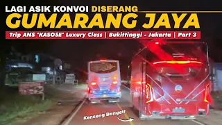 2 ANS LAGI SERU KONVOI, DISERANG GUMARANG JAYA‼️😱 - Trip ANS “Kasose” | Bukittinggi - Jakarta Part 3