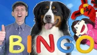 BINGO Dog Song | Nursery Rhymes | Learn English Kids