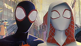 Miles X Gwen moments part 2 (Spiderman across the spiderverse)