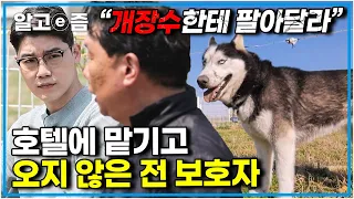 공격성 때문에 보호자가 입양하지 않으면 갈 곳 없던 개.. 저마다의 안타까운 사연들을 안고 모인 9마리 대가족│세상에 나쁜 개는 없다│알고e즘