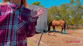 101 lesson how to untack a horse #groom #after the ride #equestrian #show #obstacles