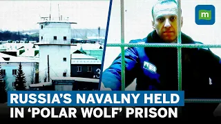 What is Russia’s ‘Polar Wolf’ Prison? The Prison Holding Putin’s Critic - Navalny