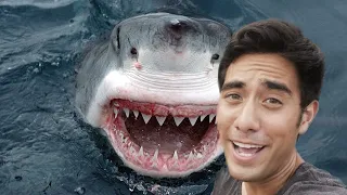 Top New Zach King Funny Magic Vines 2022 (Part 8)