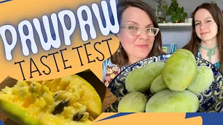 What Do Pawpaws Really Taste Like? We Taste Test Them For Ya