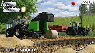 Selling straw bales & spreading manure | Animals on Stappenbach | Farming Simulator 19 | Episode 18