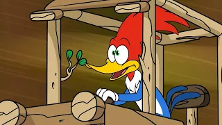 The race to be the best | Woody Woodpecker