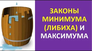 4. Законы минимума (Либиха) и максимума