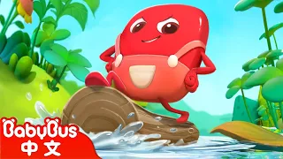 彩虹糖的漂流探險+更多 | 動畫 Kids Cartoon | 美食家族 Yummy Food | 卡通片 | BabyBus | 寶寶巴士