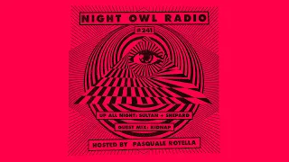 Sultan & Shepard, Kidnap - Night Owl Radio 241