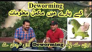 How to Deworming Birds and Parrots Tips||Deworming of Birds, Reasons and Solutions||complete info