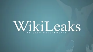 Wikileaks: Exclusive Interview with Investigations Editor Sarah Harrison