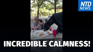 Bear Caught on Video Crashing Family Picnic in Mexico