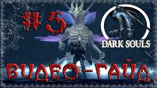 Видео-гайд по Dark Souls: Prepare to Die edition. #5 "Охотница на боссов"