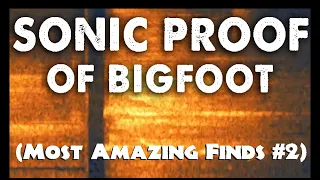 Sonic Proof of Bigfoot (Most Amazing Finds #2)