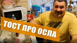 Тост анекдот для мужиков Про осла | Ржу не могу