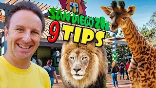 SAN DIEGO ZOO Tips: 9 Things to Know Before You Go