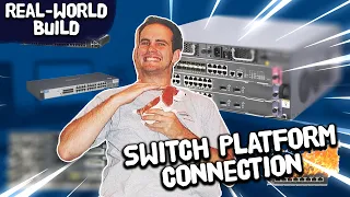 Determining A Switch Platform Connection! Ep.5: Real-World Business Switch Network Build