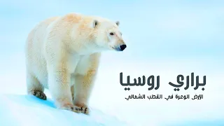 براري روسيا ارض الدب الروسي في القطب الشمالي المتجمد | كويست عربية Quest Arabiya