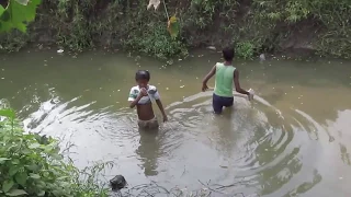 HUGE MUDCRABS Caught BAREHANDED - Catch n Cook - With BUTTER LEMON Sauce ||HD||