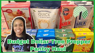 Budget Dollar Tree Prepper Pantry Haul… the affordable way to prep