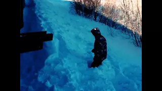 NAO PKFR(brother's parkour's Denis Kolchin and Dima Anshukov