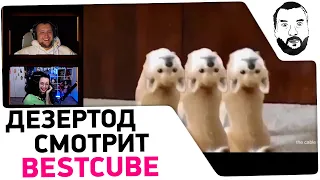 Дезертод смотрит ПРИКОЛЫ - BestCUBE😆