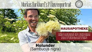 HAUSAPOTHEKE & FEINKOSTLADEN ➡️ Sambucus nigra - Holunder