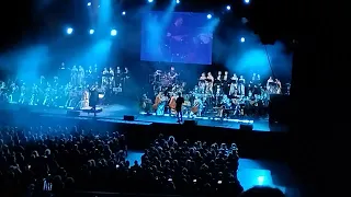 Rammstein sonne version symphonique by the rock symphony orchestra