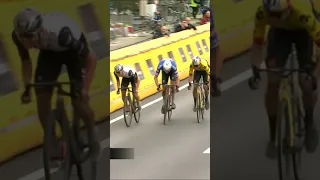 Van Aert VS Van Der Poel VS Pogacar! #shorts