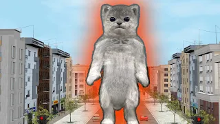 Giant cat