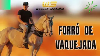 WESLEY SAFADÃO DAS ANTIGAS - FORRÓ DE VAQUEJADA - AS MELHORES