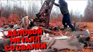 ТАЩУ МЕТАЛЛ ИЗ ПОД ГРУДЫ МУСОРА! РАСКОПКИ НА СВАЛКЕ. МЕДЬ, ЧЕРМЕТ, АЛЮМИНИЙ.