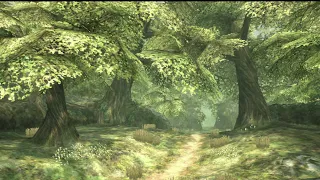 twilight princess ambience - faron woods