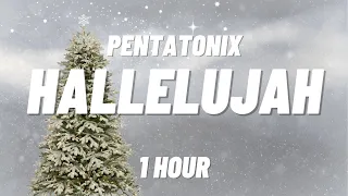 Pentatonix - Hallelujah [1 HOUR]