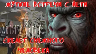 Жуткие встречи с Йети.Скелет Снежного Человека.