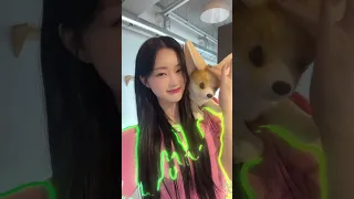 [#다정] 함께 틱톡 찍기 🦊 #shorts